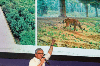 Kalibor–Numaligarh section of NH-715 in Assam being upgraded to four lanes with wildlife-friendly measures near Kaziranga National Park.