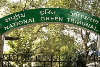 The National Green Tribunal (NGT) has issued notices to multiple authorities over alleged unauthorised construction