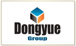 Advanced fly ash and concrete brick manufacturing using cement route and vibration technology by Dongyue