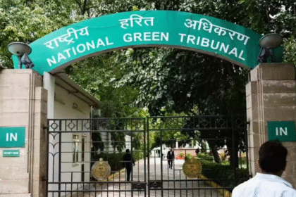 NGT Flags NHAI Elevated Road Built on Protected Waterbody in Delhi