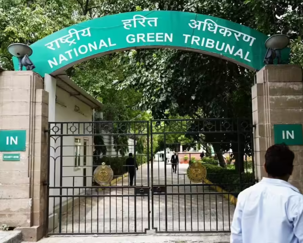 NGT Flags NHAI Elevated Road Built on Protected Waterbody in Delhi