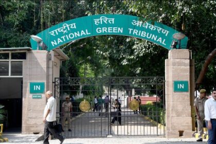 NGT Orders NHAI to Restore Protected Wetland in Delhi After Environmental Violation