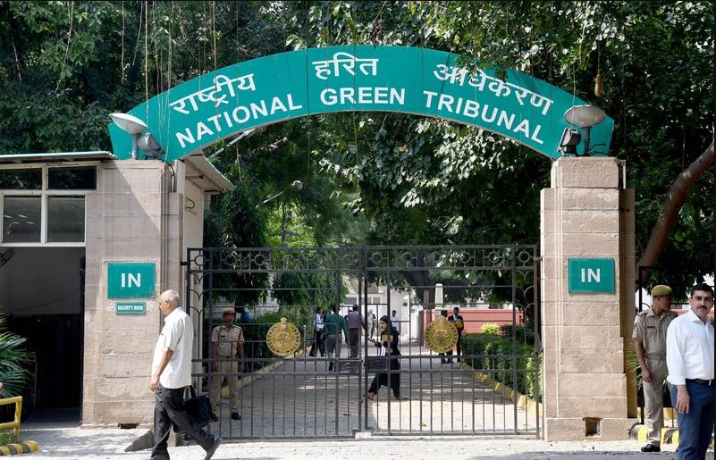 NGT Orders NHAI to Restore Protected Wetland in Delhi After Environmental Violation