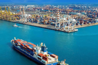 Shipping Secretary Reviews Vadhvan Port Progress, Stresses Timely Execution